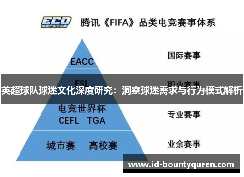 英超球队球迷文化深度研究:洞察球迷需求与行为模式解析 英超球队球迷文化深度研究:洞察球迷需求与行为模式解析