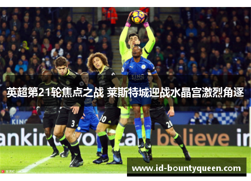 英超第21轮焦点之战 莱斯特城迎战水晶宫激烈角逐 英超第21轮焦点之战 莱斯特城迎战水晶宫激烈角逐