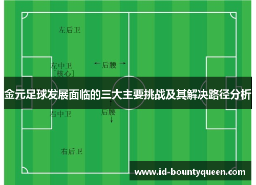 金元足球发展面临的三大主要挑战及其解决路径分析 金元足球发展面临的三大主要挑战及其解决路径分析