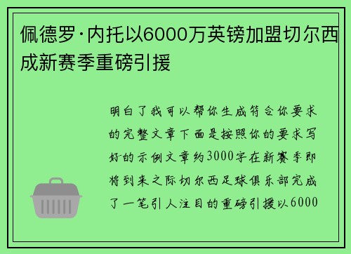 佩德罗·内托以6000万英镑加盟切尔西成新赛季重磅引援